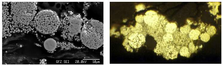 Back-scattered electron mineral images from EPMA and microphotograph, intact and disintegrating grains of framboidal pyrite from clay/lignite horizon at Ruprechtov site